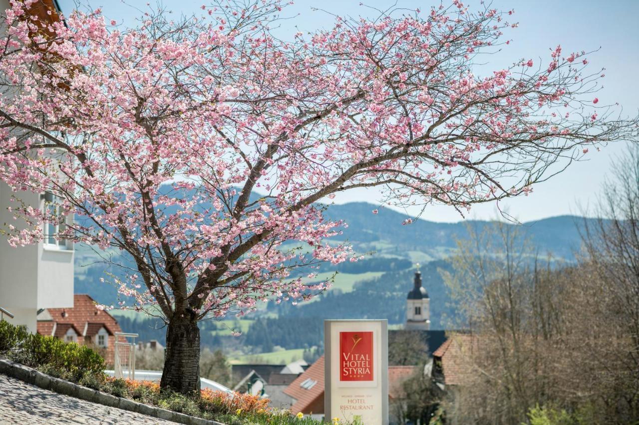 Vital-Hotel-Styria Фладниц-ан-дер-Тайхальм Экстерьер фото