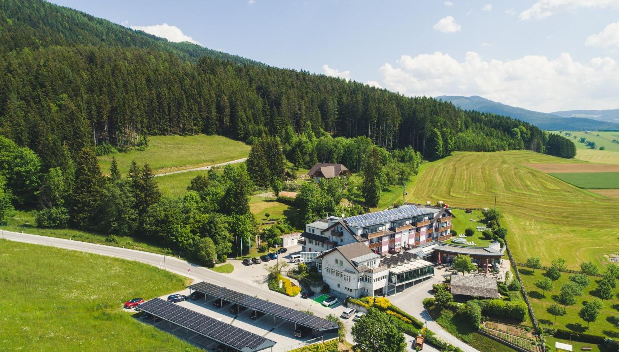 Vital-Hotel-Styria Фладниц-ан-дер-Тайхальм Экстерьер фото